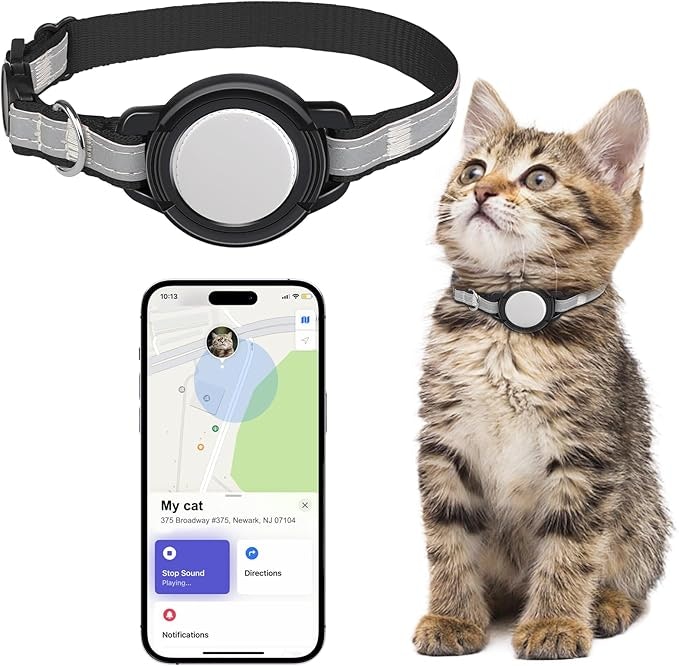 65 Amazon Products That Every Cat Owner Swears By