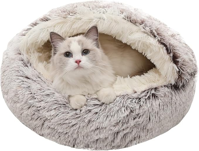 65 Amazon Products That Every Cat Owner Swears By