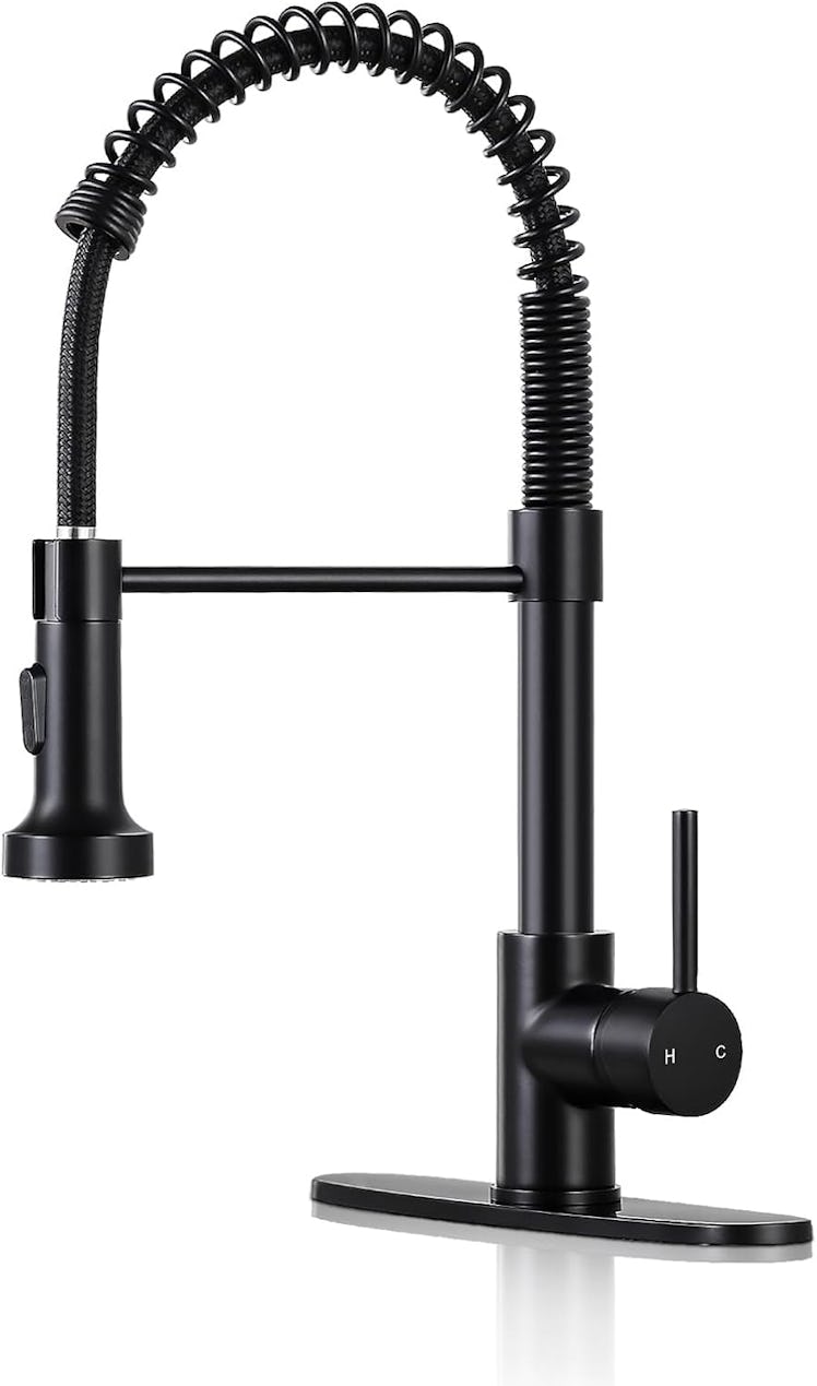 DJS Kitchen Faucets with Pull Down Sprayer