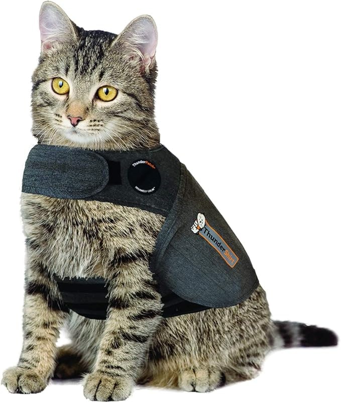 65 Amazon Products That Every Cat Owner Swears By