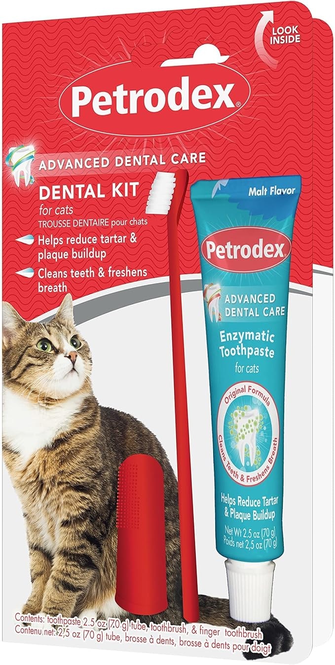 65 Amazon Products That Every Cat Owner Swears By