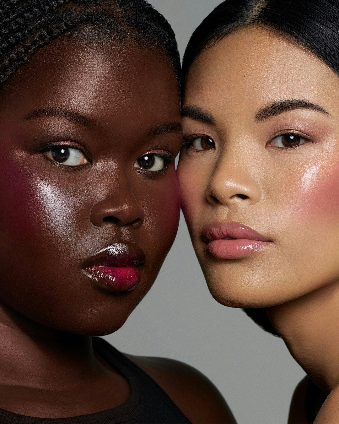 Blush makeup definition online