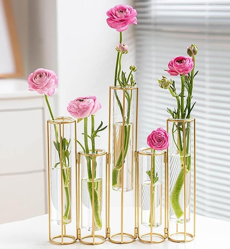 Bigsee Test Tube Vase (5-Pack)