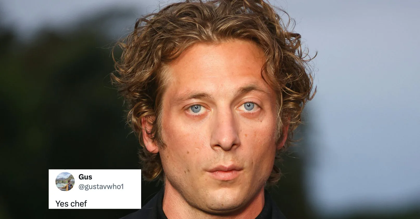 Fan Reactions To Jeremy Allen White’s Calvin Klein Ad Are Horny