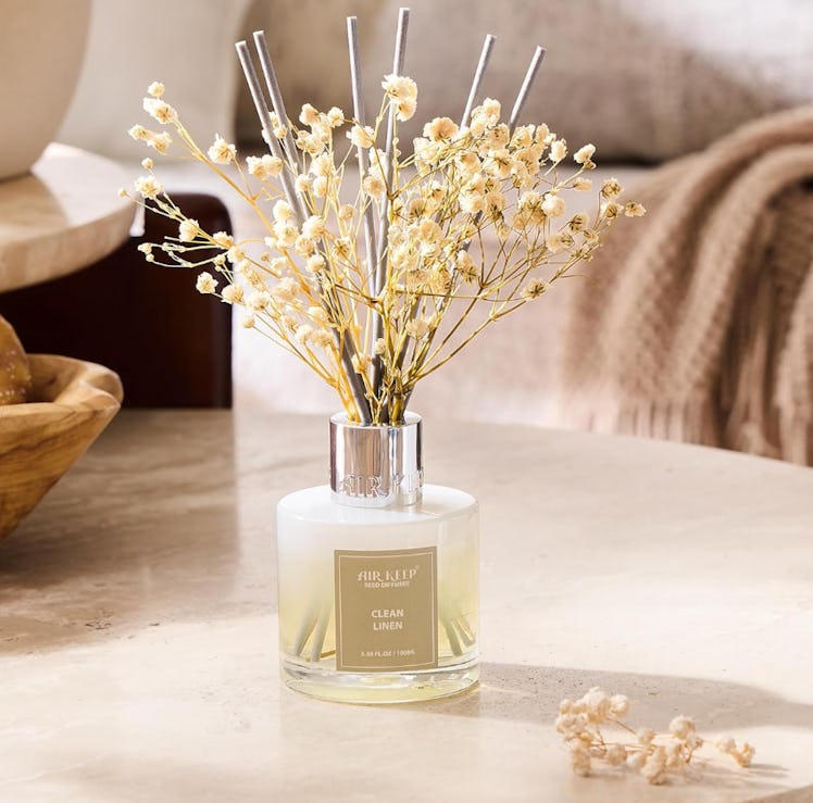 Airkeep Reed Diffuser Set