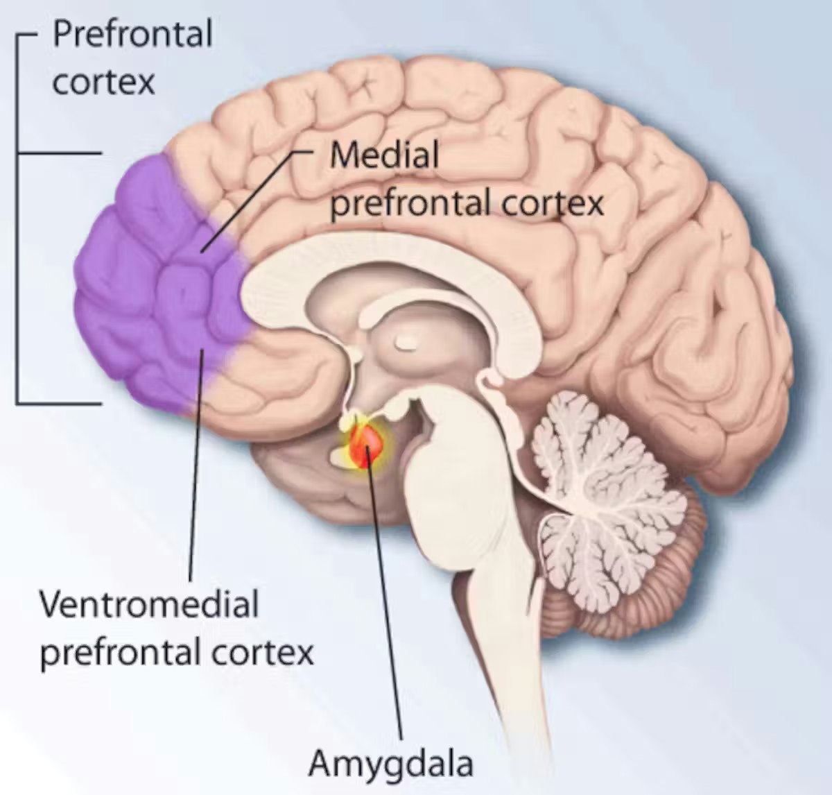 The Science Behind Mental Imagery Hints At The Secret To Athletic Success