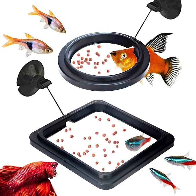 65 Mind-Blowing Amazon Aquarium Essentials Under $20 That Every Fish Owner Will Love