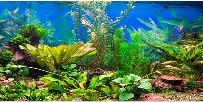 65 Mind-Blowing Amazon Aquarium Essentials Under $20 That Every Fish Owner Will Love