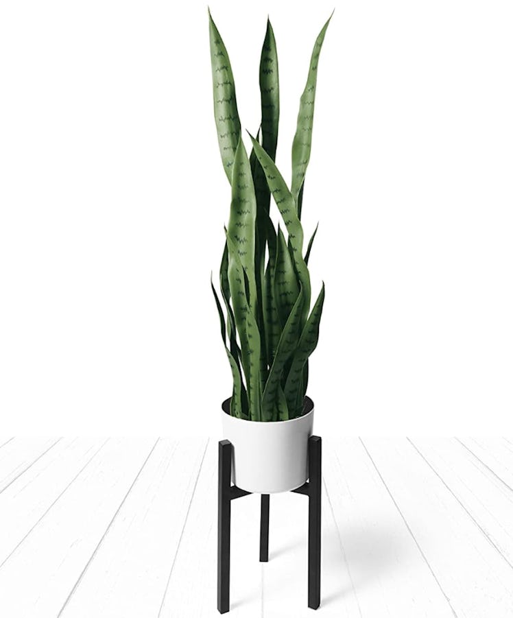 flybold 16-Inch Faux Snake Plant