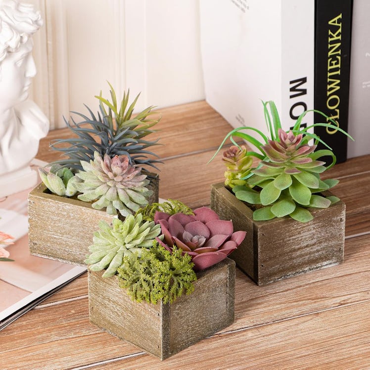 Mingfuxin Artificial Succulents Plants (Set of 3)