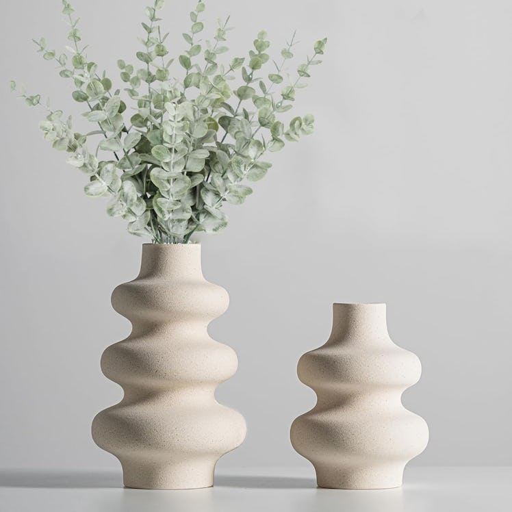 Steviieden Ceramic Vases (Set of 2)