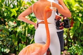 A flamingo standing close to a woman in white attire, surrounded by lush greenery, with a photograph...
