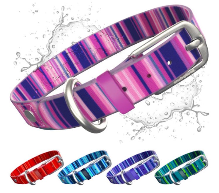  Rubyloo Waterproof Dog Collar