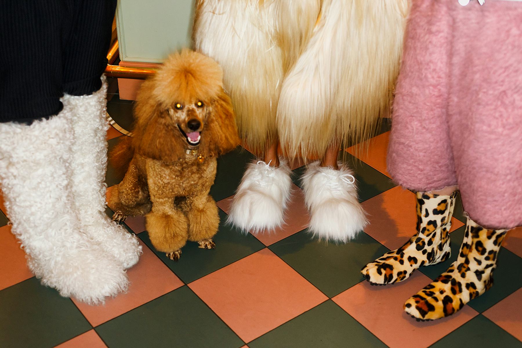 Moncler Collection boots; stylist’s own pants. Burberry dog collar and leash. Marni coat and shoes. ...