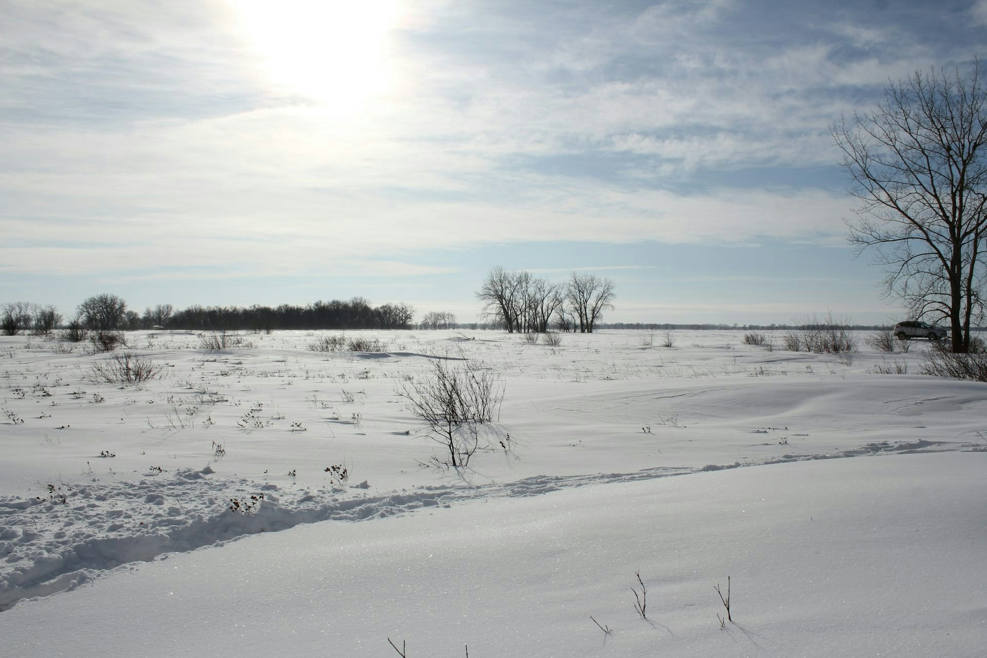 How To Solve A Murder In The Snow, According to Science