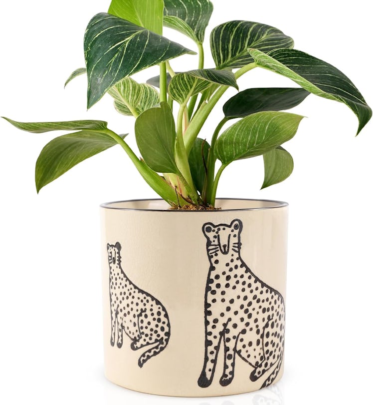 STHIE Indoor Ceramic Plant Pot