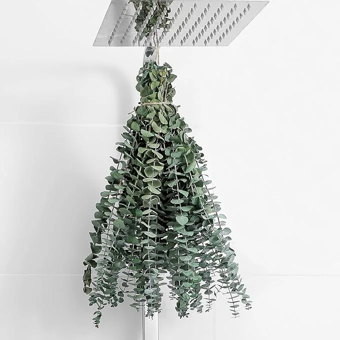FAVOWREATH  Dried Eucalyptus Stems (10-Pack)