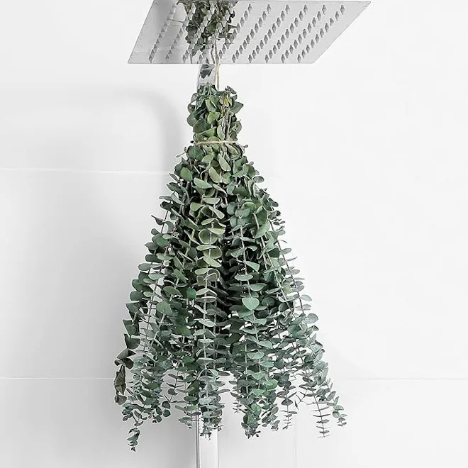 FAVOWREATH Dried Eucalyptus Stems (10-Pack)