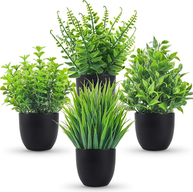 Der Rose Small Artificial Plants (4-Pack)