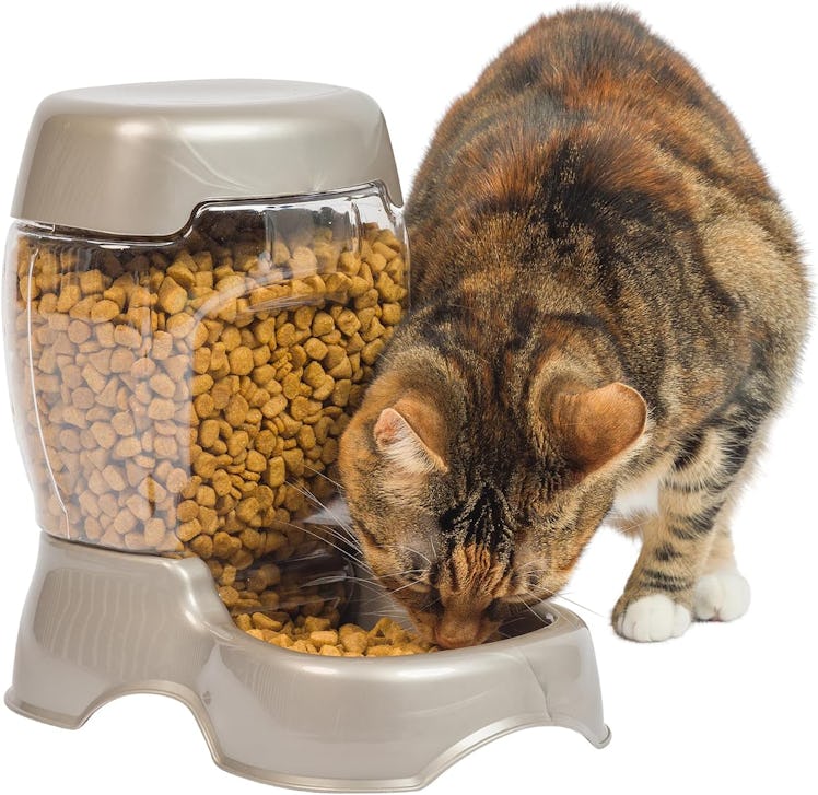 PetMate Gravity Pet Feeder