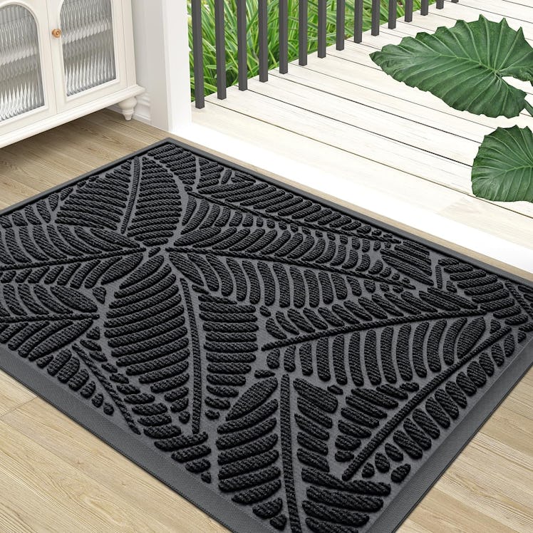 Colorxy Waterproof Doormat