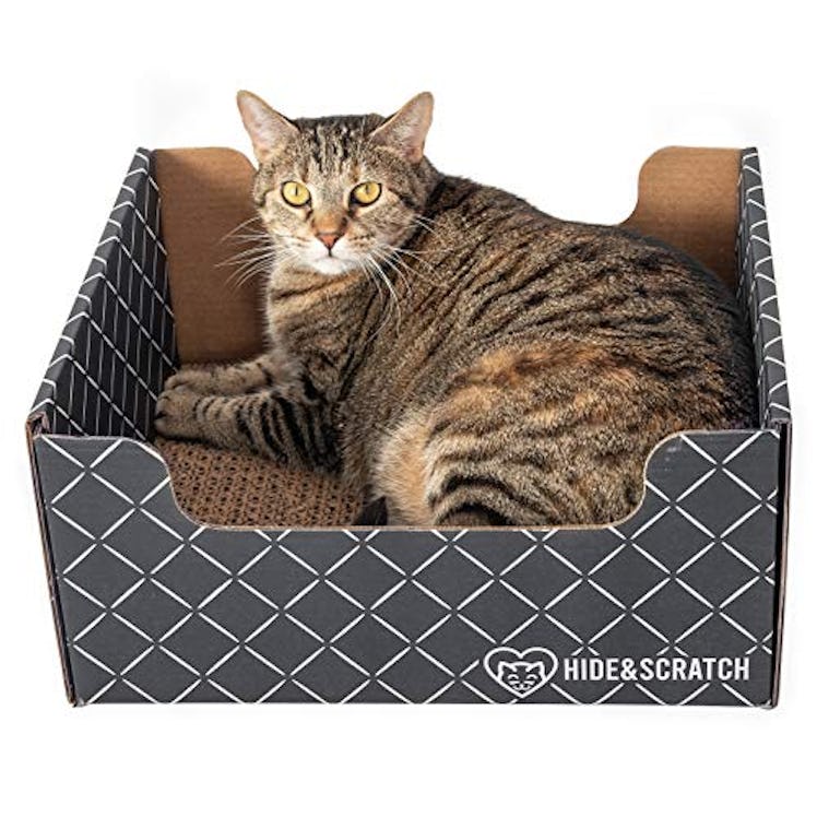 Hide & Scratch Heavy-Duty Cardboard Cat Scratcher Box