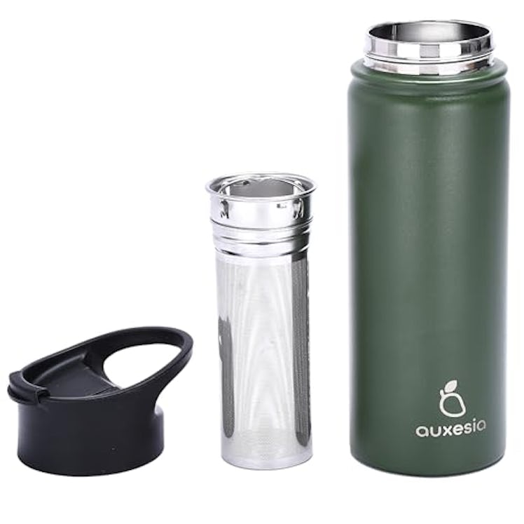 Auxesia Fruit Infuser Water Bottle