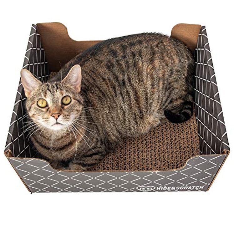 Hide & Scratch Cardboard Cat Scratcher Box and Cat Bed