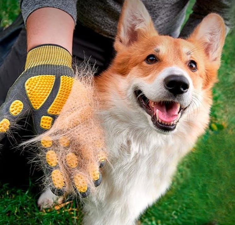 Pawradise Pet Grooming and Bathing Gloves