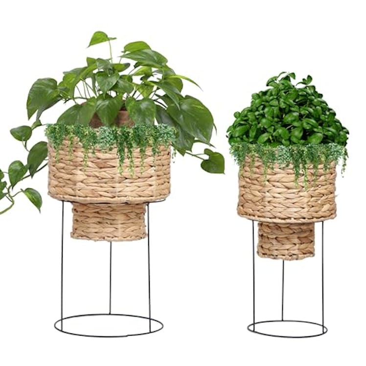 Hallops Indoor Planter with Stand (Set of 2)