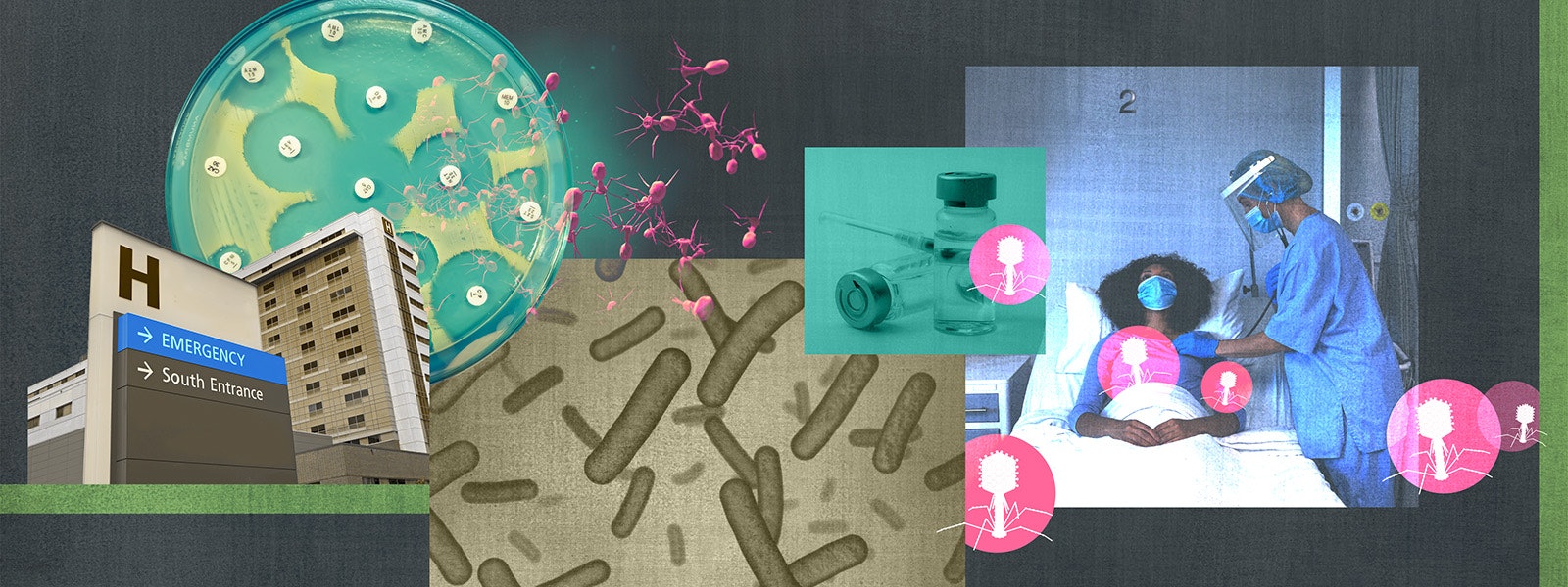 Some Viruses Prey On Bacteria — Are They the Forgotten Secret To Medical Cures?