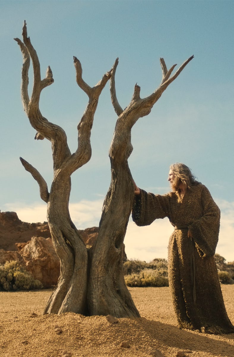 A person in a flowing robe stands beside a gnarled, leafless tree in a barren landscape, with mounta...