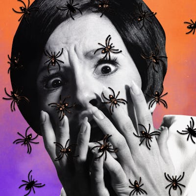 Why do we have to decorate with spiders during halloween. I hate spider decorations.