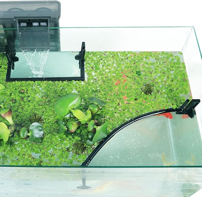 65 Mind-Blowing Amazon Aquarium Essentials Under $20 That Every Fish Owner Will Love