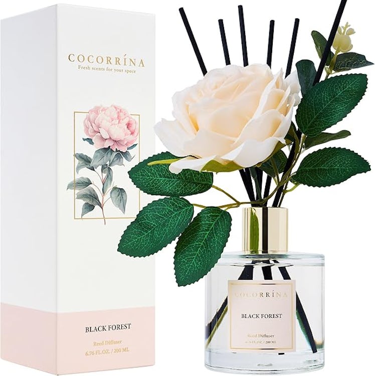 Cocorrina Reed Diffuser Set