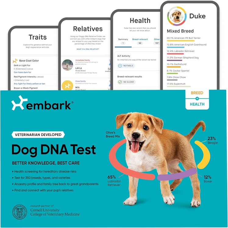 Embark Dog Breed & Genetic Screening DNA Test