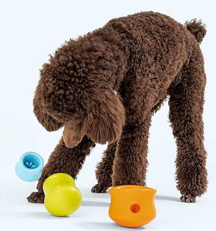 WEST PAW Zogoflex Toppl Treat Dispensing Dog Toy Puzzle