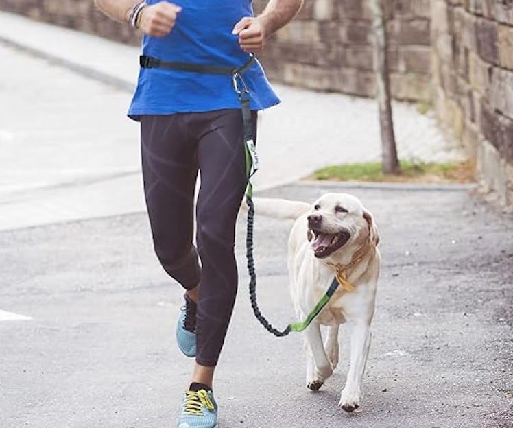 Tuff Mutt Hands-Free Dog Leash