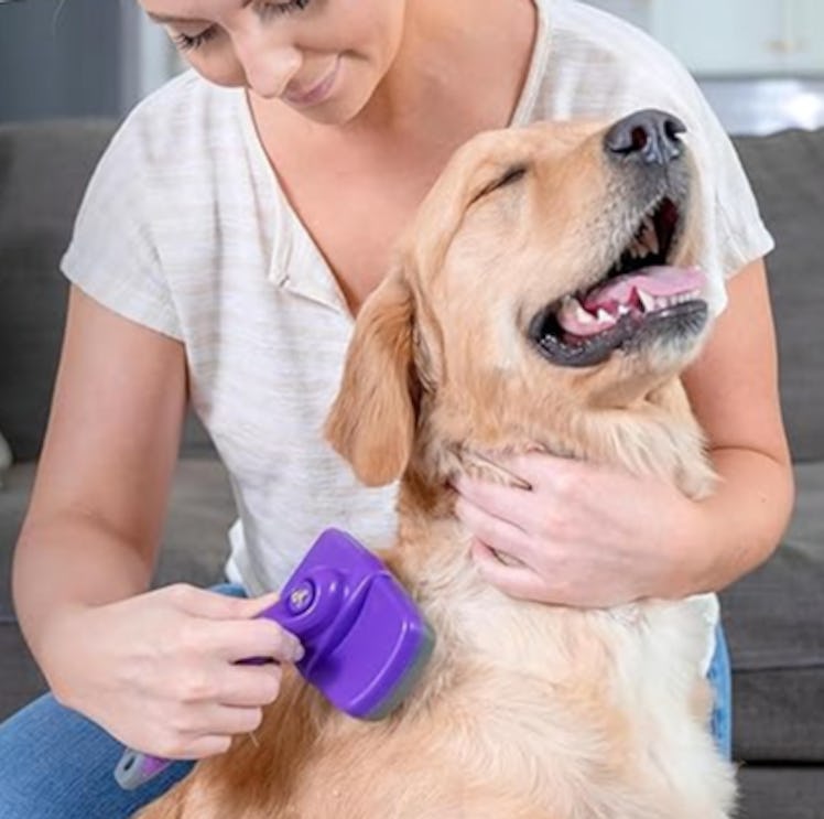 Hertzko Self-Cleaning Slicker Pet Brush