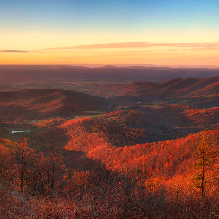 Fall foliage in Shenandoah National Park, Virginia.
