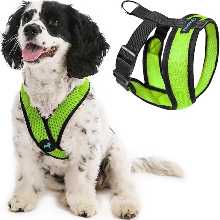 Gooby Comfort X Head In Harness - Green, Medium