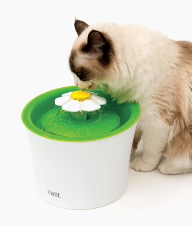 Catit Flower Water Fountain