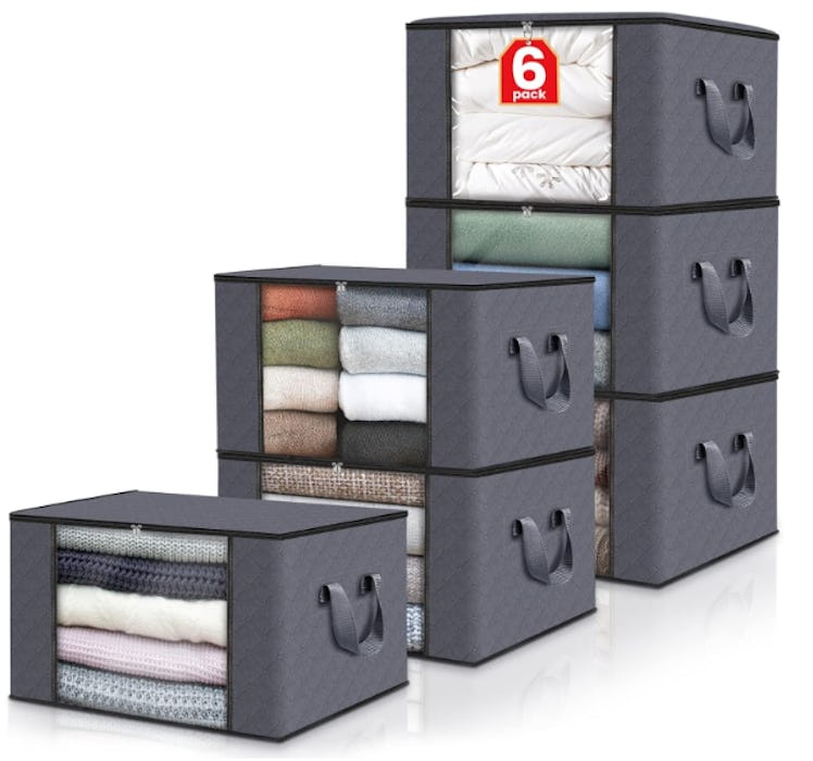 Fab Totes Foldable Storage Bags (6-Pack)