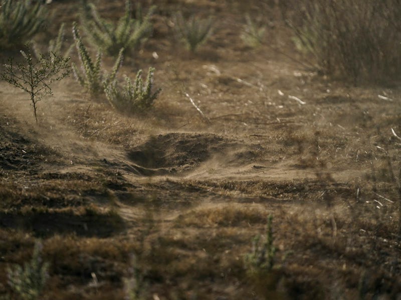 As the climate warms and landscapes become drier, researchers fear that valley fever could spread ac...