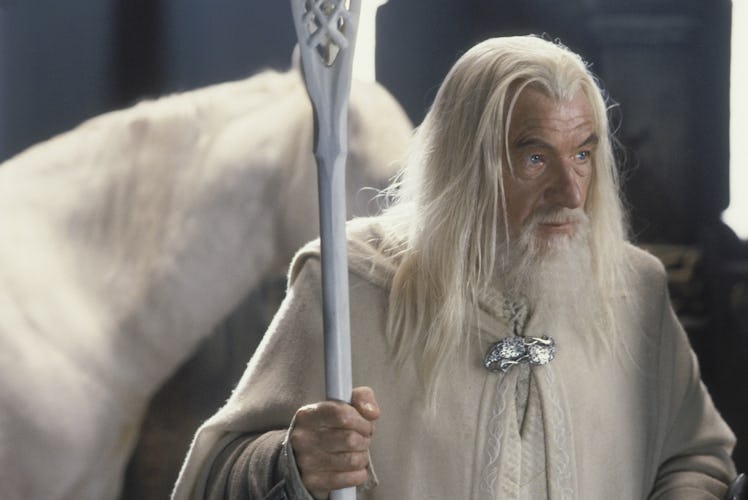 Ian McKellen as Gandalf the White in The Lord of The Rings: The Two Towers