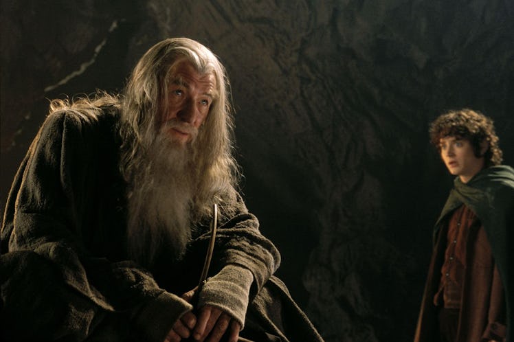 Ian McKellen as Gandalf the Gray in The Lord of the Rings: The Fellowship of the Ring