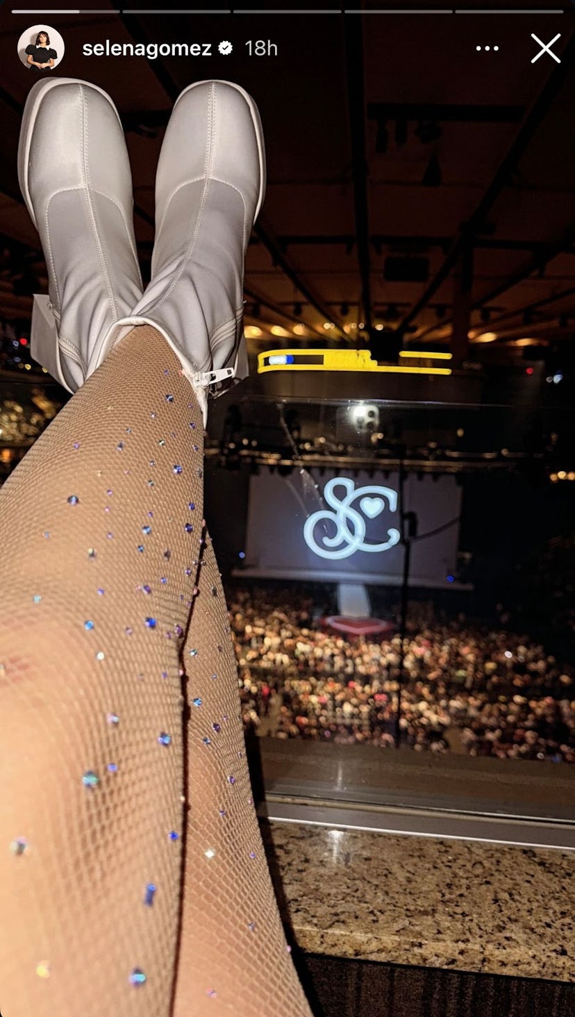 Selena Gomez’s Sheer Plunging Peekaboo Dress Showed Off Her Black Thong