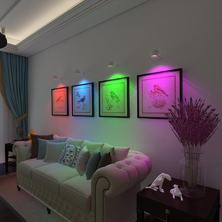 Picture Painting Wall Light