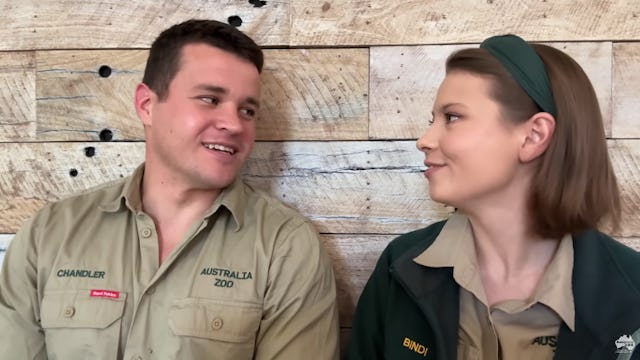 Chandler Powell and Bindi Irwin in zoo uniforms are sitting close together, smiling and looking at e...