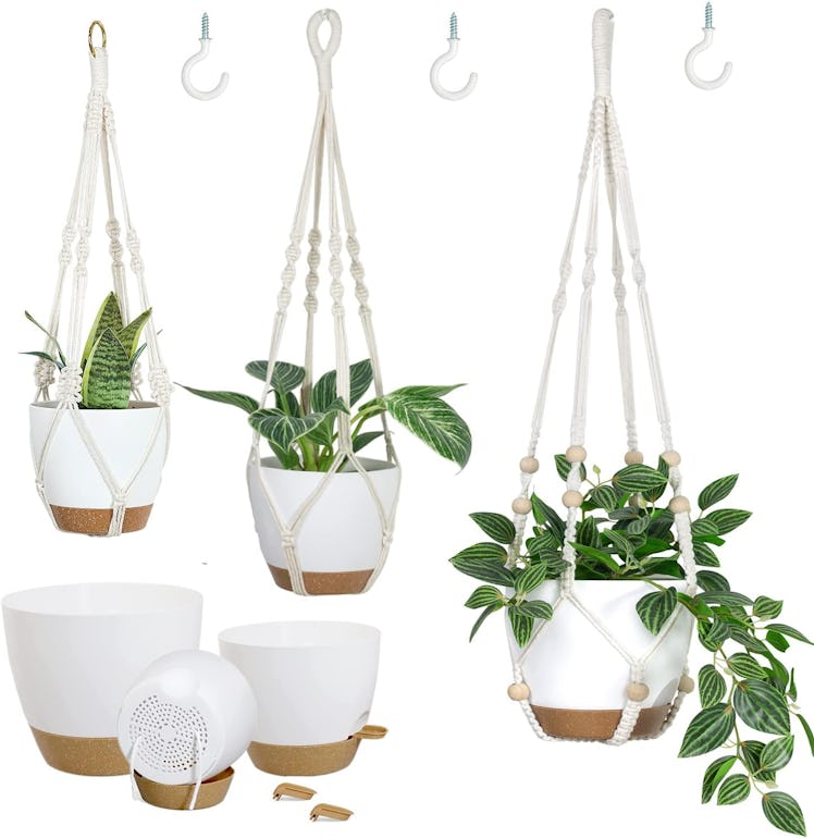 Bouqlife Macramé Plant Hangers (Set of 3)